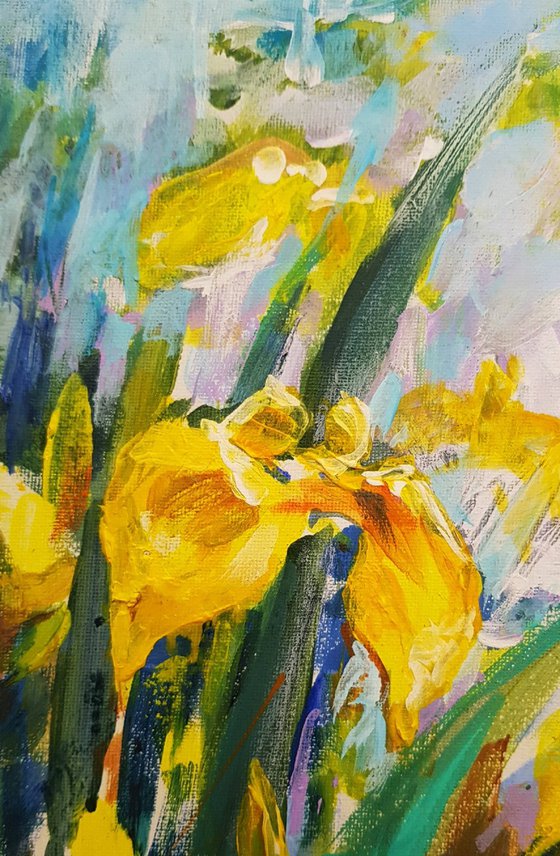 Yellow Irises