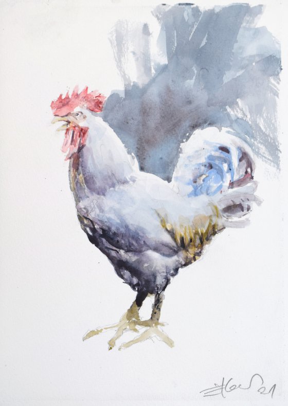 Rooster