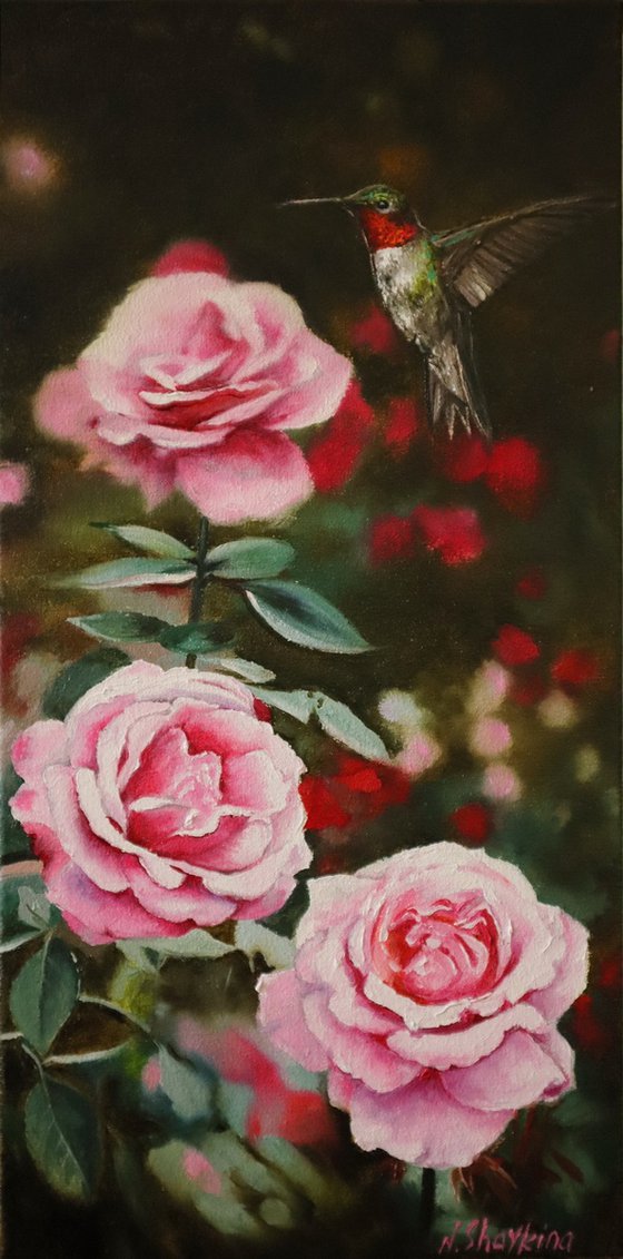 Ruby Throated Hummingbird and Pink Roses