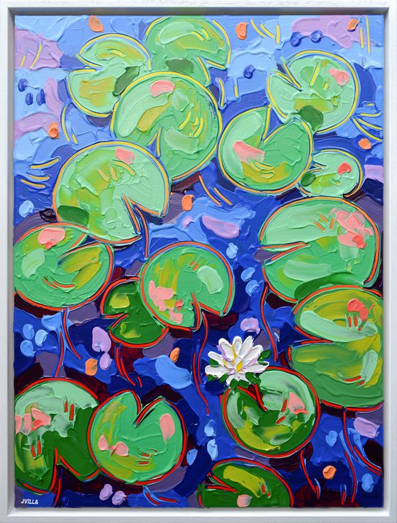 Tasman Lily Pond 33