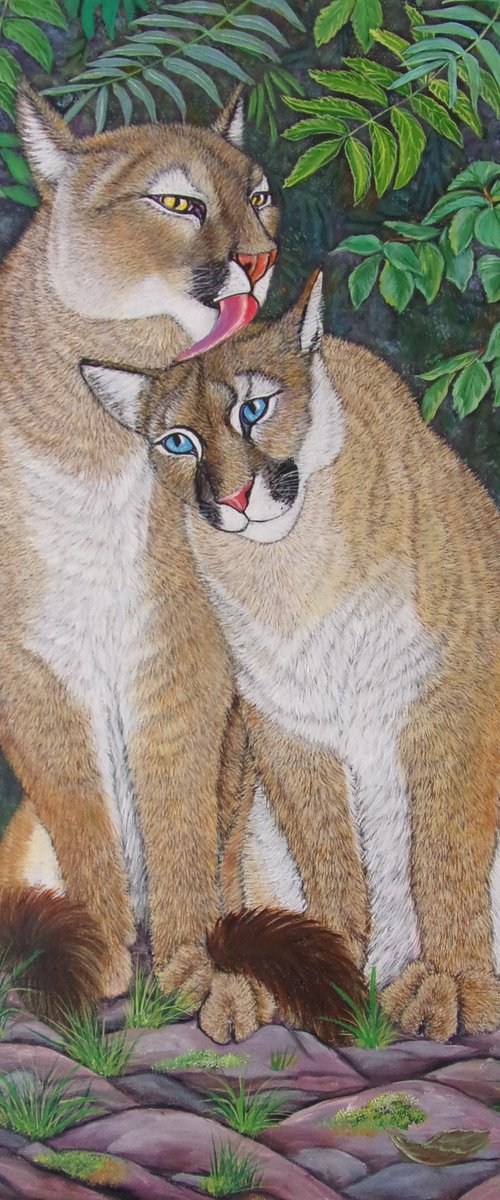 Pumas Kiss by Sofya Mikeworth