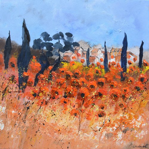 Red poppies  in Provence   6624 by Pol Henry Ledent