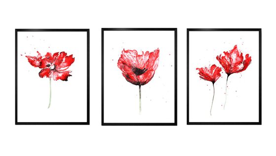 Triptych "Poppy Blooming"