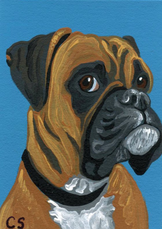 ACEO ATC Original Miniature Painting Boxer Pet Dog Art-Carla Smale