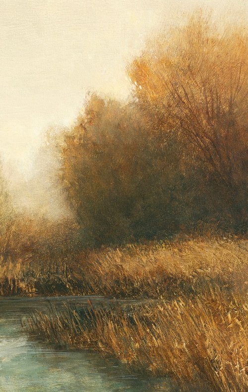 Backlit Trees 251122 by Don Bishop