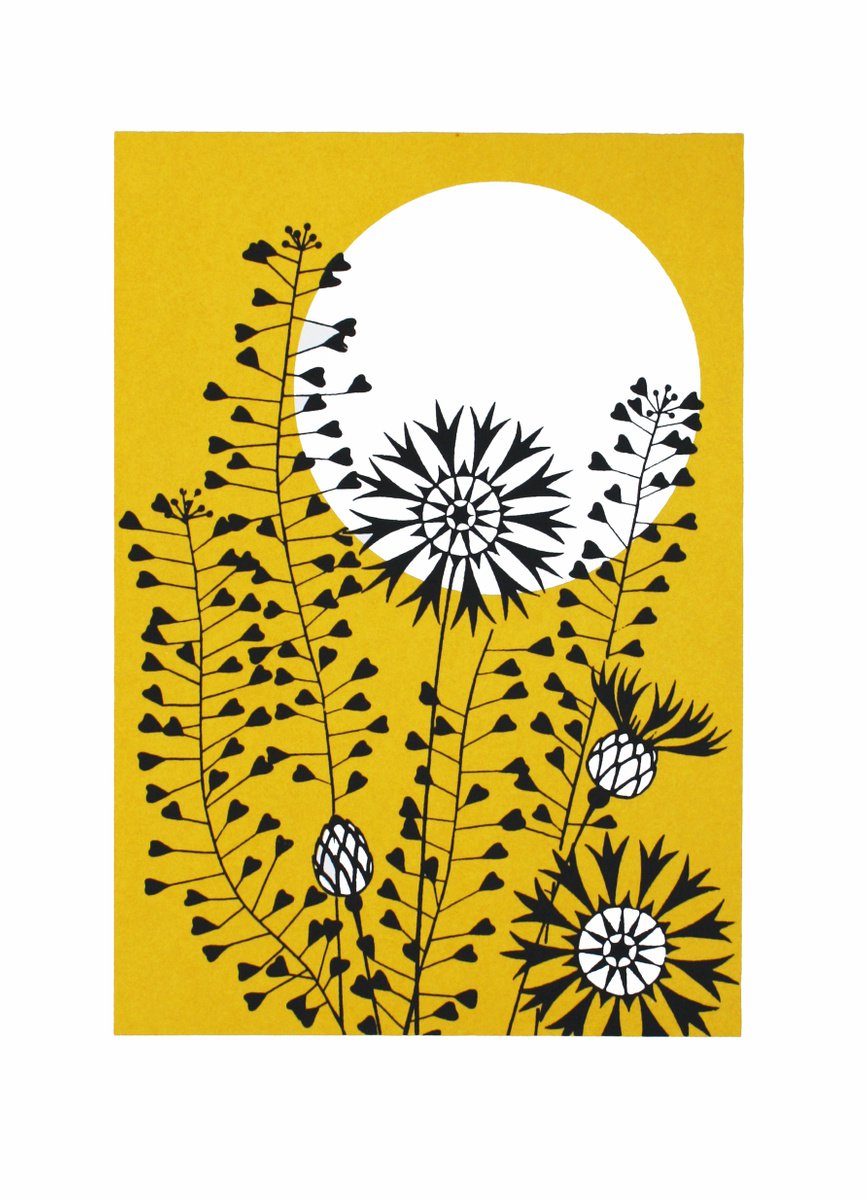 Illustrative Botanical Screenprint By Kath Edwards, 12 X 16", Moonlight, Original Artwork