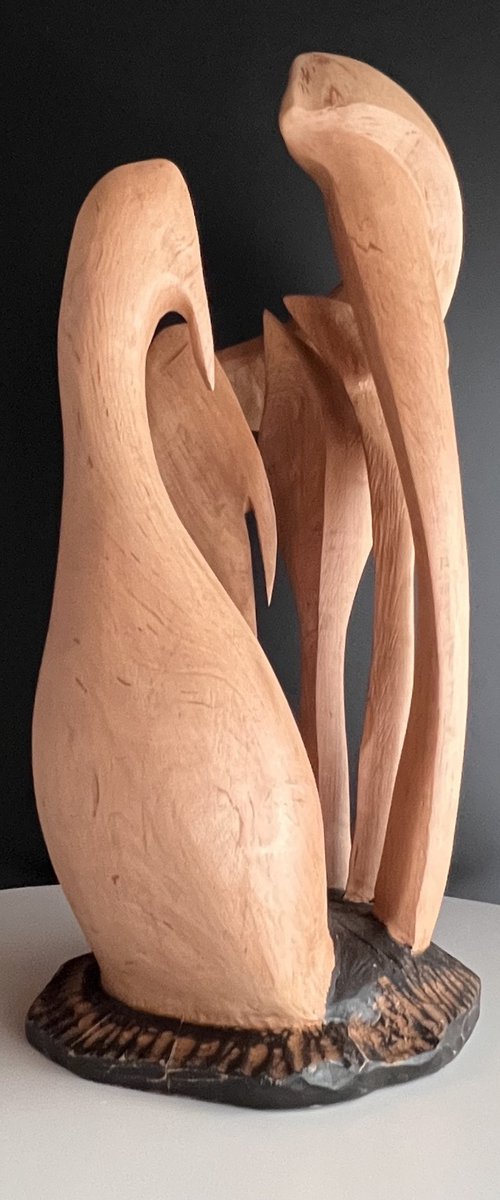 poultry by Roland Köpfer