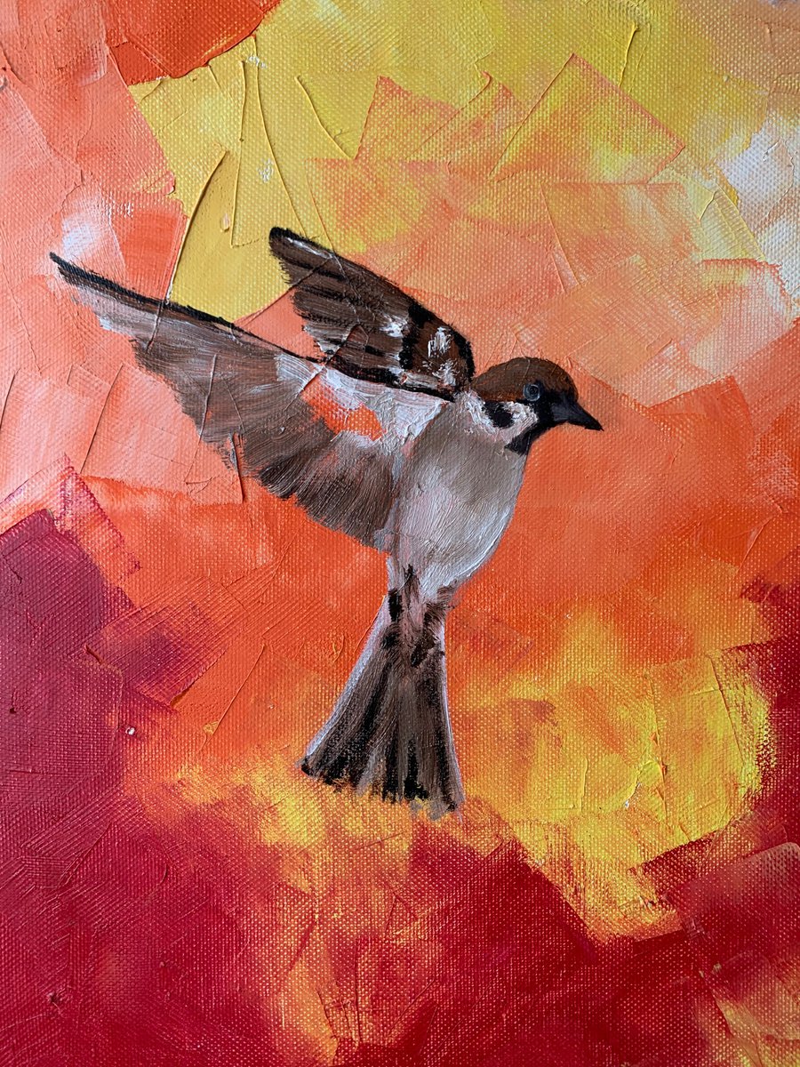 Orange symphony oil painting on paper / sparrow bird / bird in flight by Olha Gitman