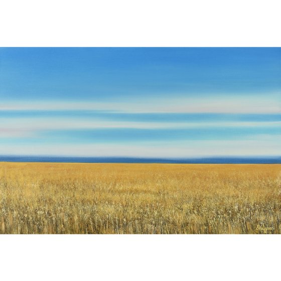 Golden Field - Blue Sky Landscape