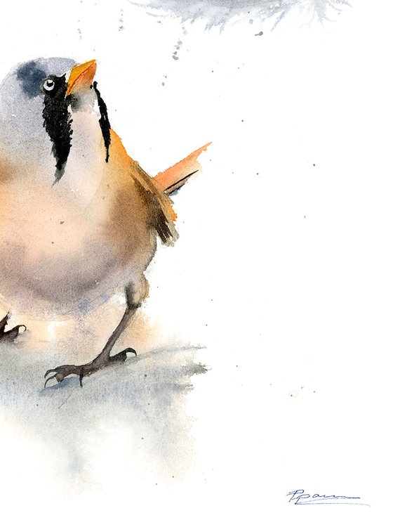 Bird and feather ( 1 of 3) -  Original Watercolor Painting
