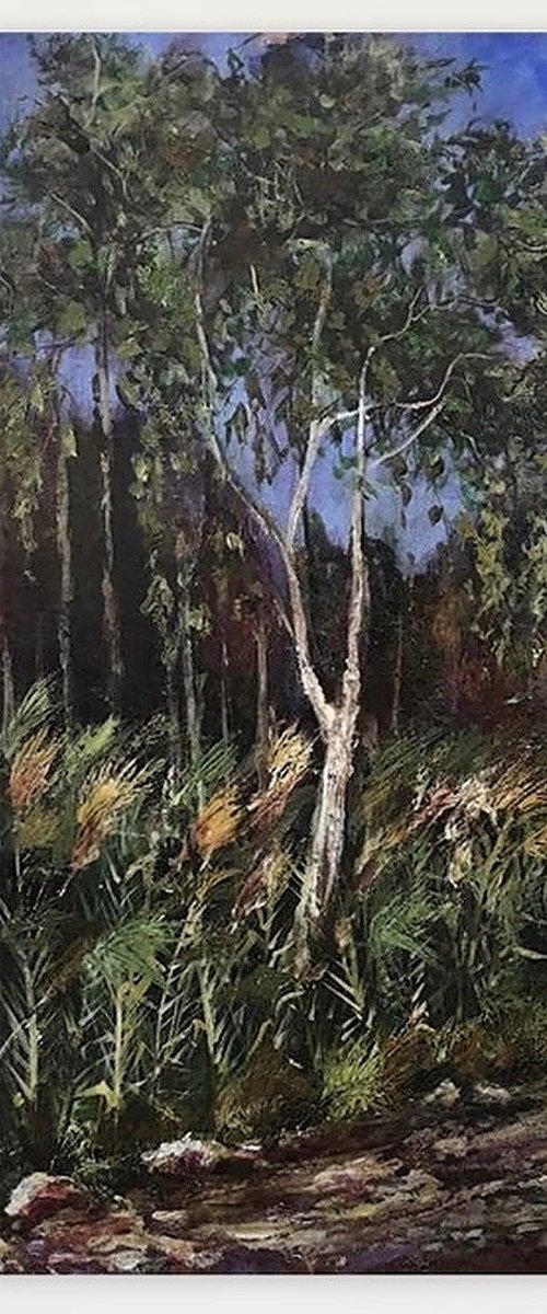 Eucalyptus Tree and Reeds by Olga McNamara