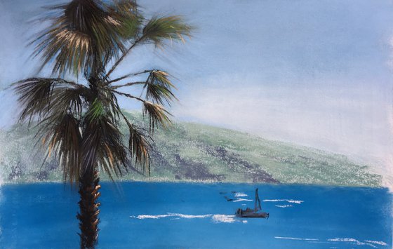 palm and sea