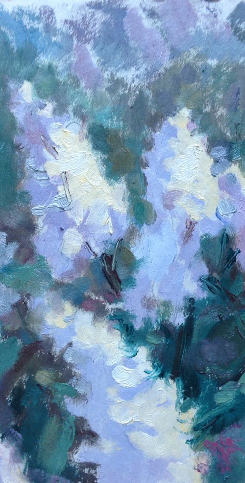 White lilacs blossom by Roman Sergienko