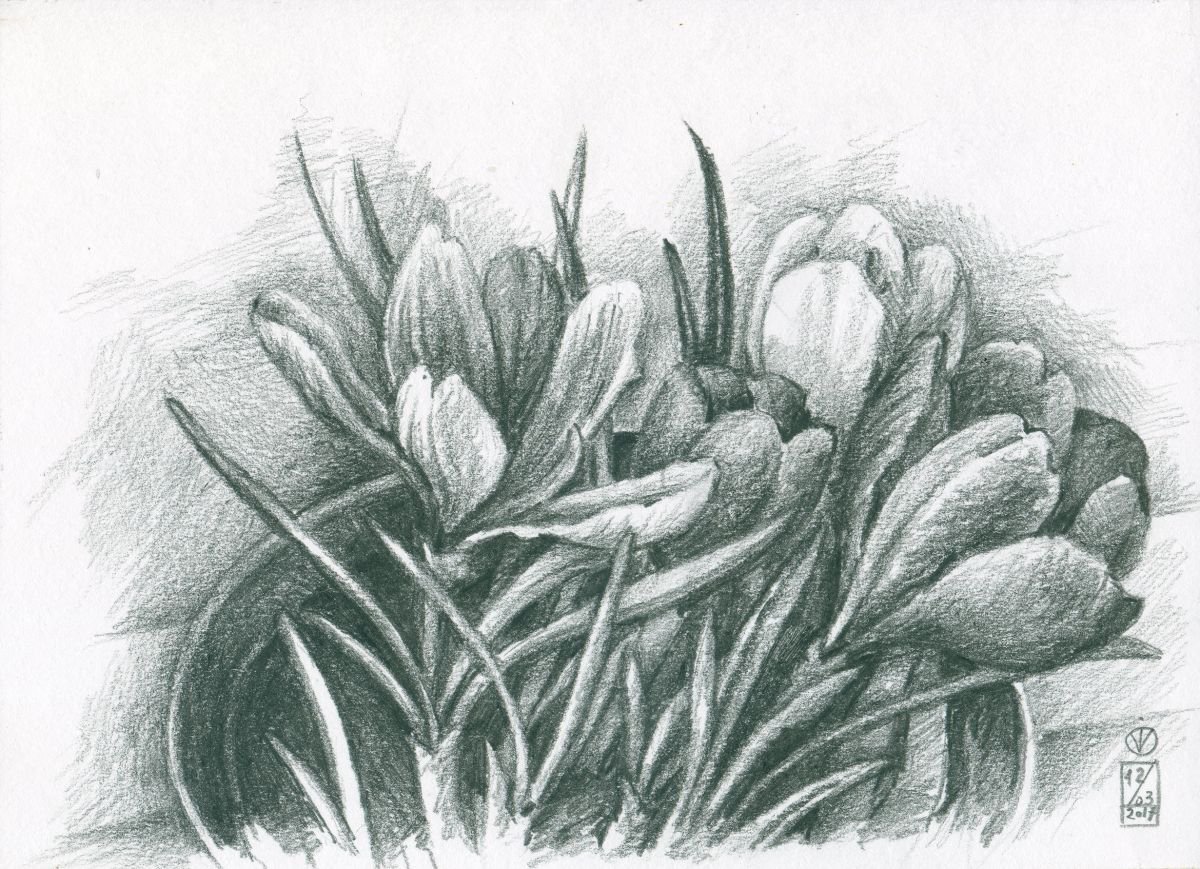 Spring Flowers 2 (crocuses) by Vio Valova