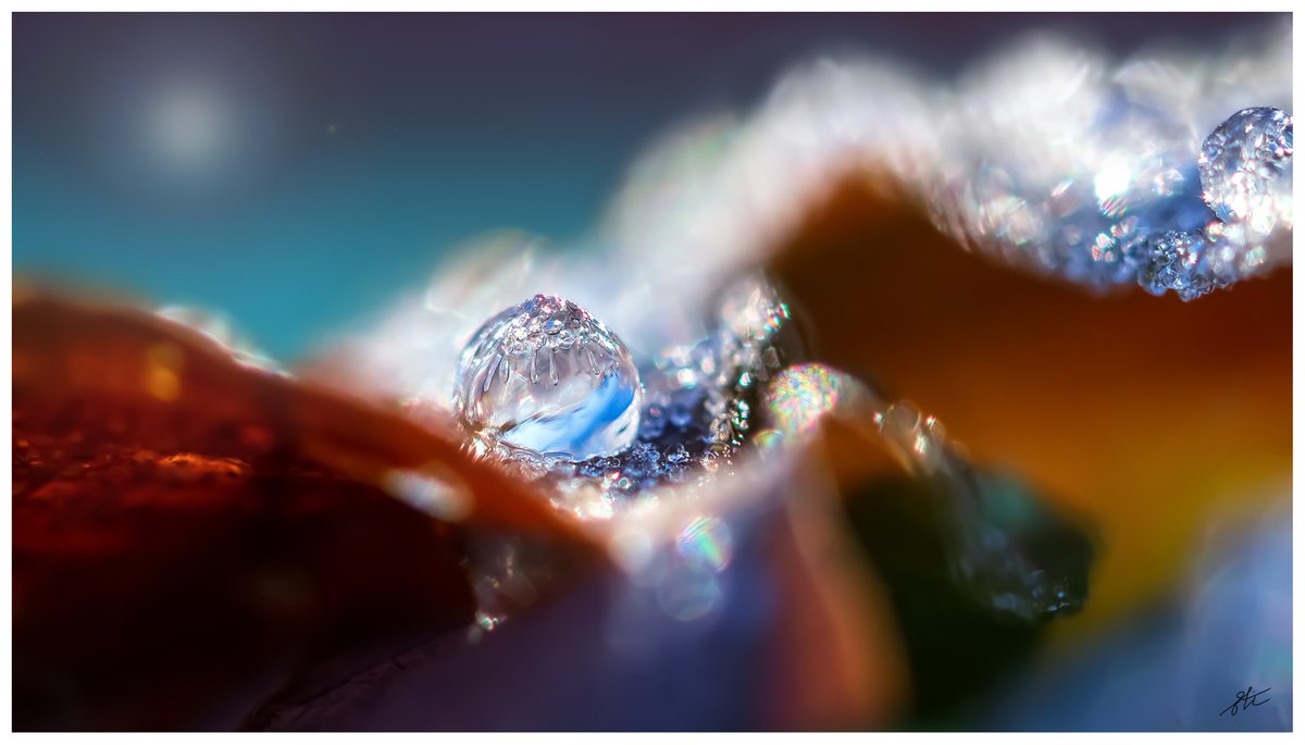 Winter magic - Macro photography of a frozen raindrop on the fallen leaf, covered with the... by Inna Etuvgi