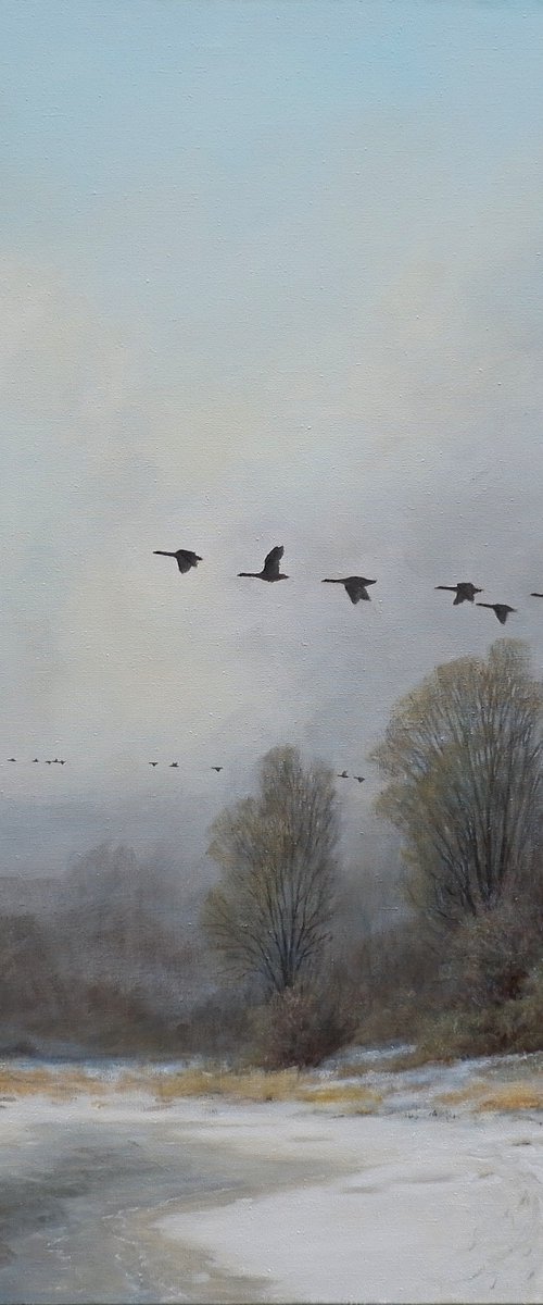 Geese on the run. by Gerard Kramer