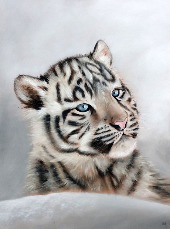 White Snow Tiger Cub