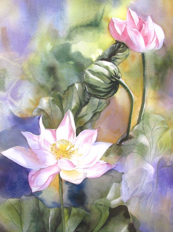 lotus watercolor