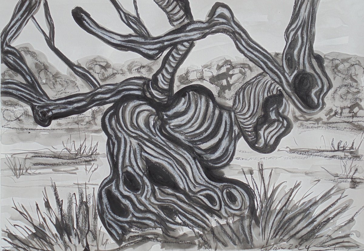 Expressive Landscape Ink Drawing By Kirsty Wain, 23 X 17", Olive Tree 7, Original Artwork
