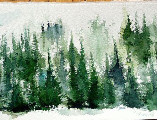 Evergreen by Jelena Nova