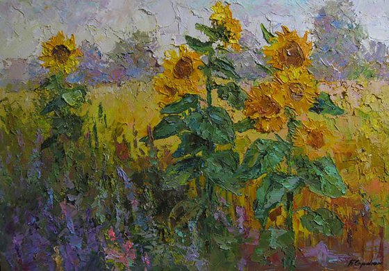 Sunflowers in the field