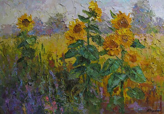 Sunflowers in the field