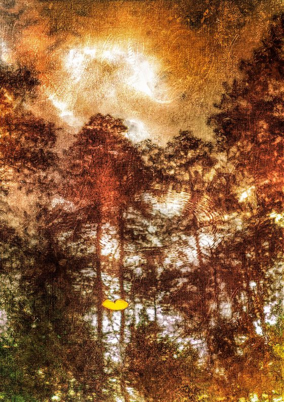 Trees Reflected In The Water. Original Signed Digital Art.