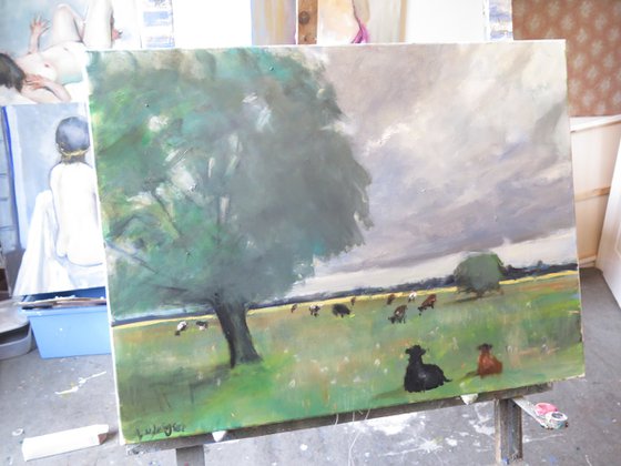 Cow Meadow