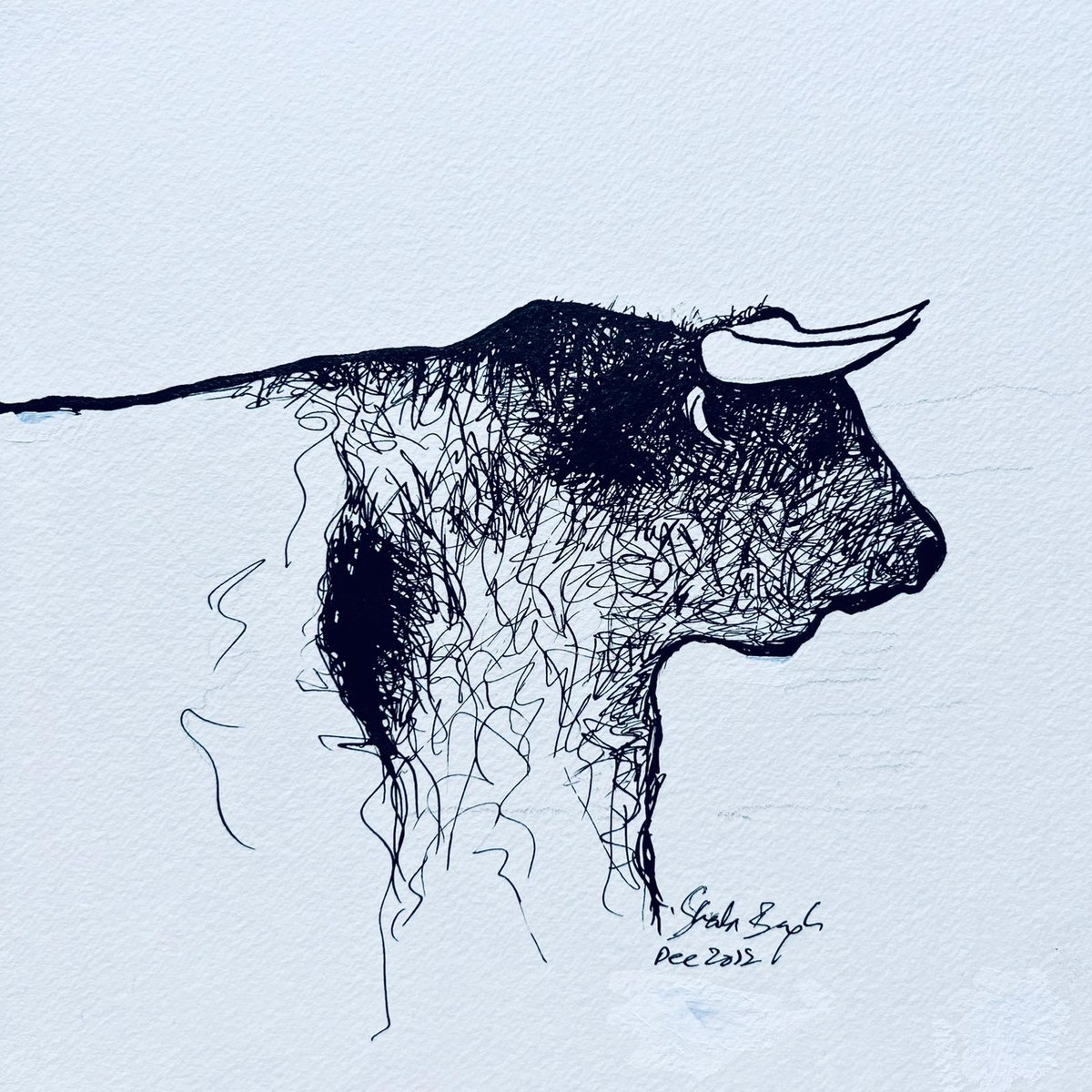 Bull by Shabs Beigh