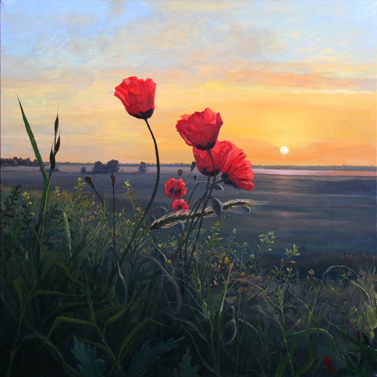 Poppies. Dawning. 80x80 cm. by Linar Ganeev