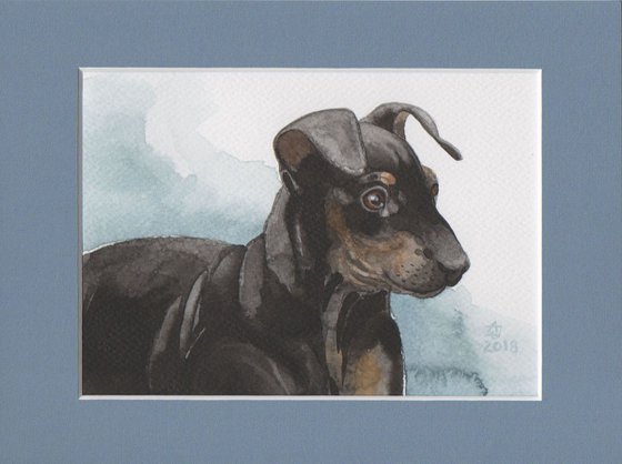 Manchester terrier on a walk * free shipping *
