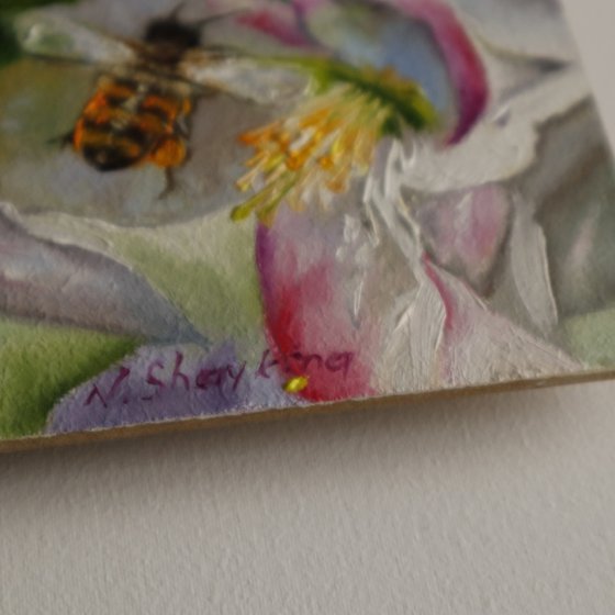 Bee on Pink Blossom