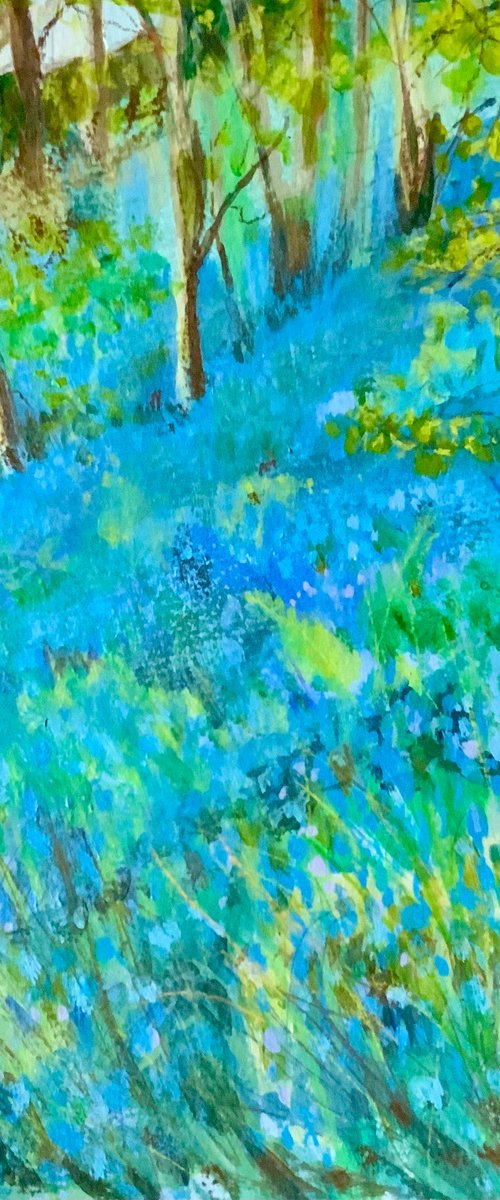 Bluebell Woods by Janice MacDougall