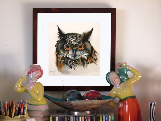 owl's glance