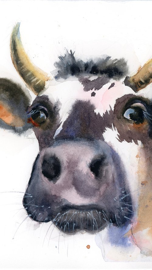 Cow (3 of 3) by Olga Tchefranov (Shefranov)