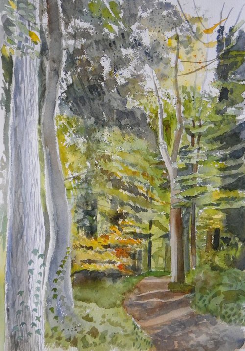 Autumn Woods by Mary Stubberfield