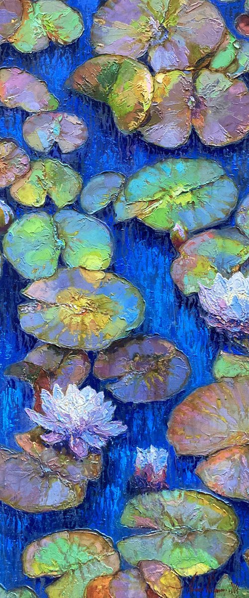 Water lilies. by Andriy Vutyanov