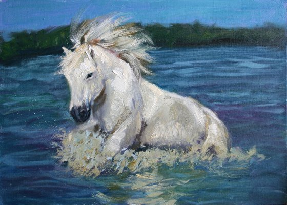 Bathing... Wild Horse... /  ORIGINAL PAINTING