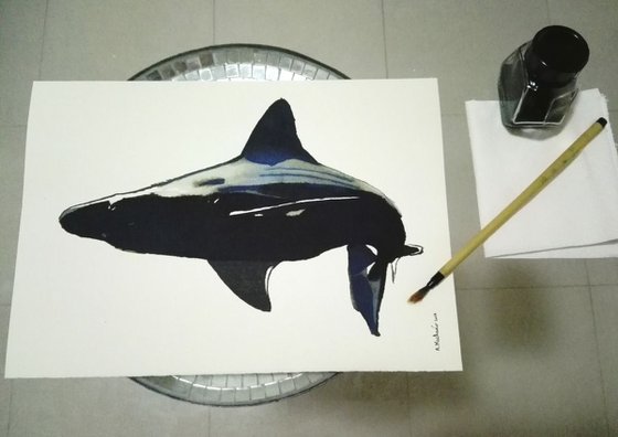 Shark I Animal Drawing