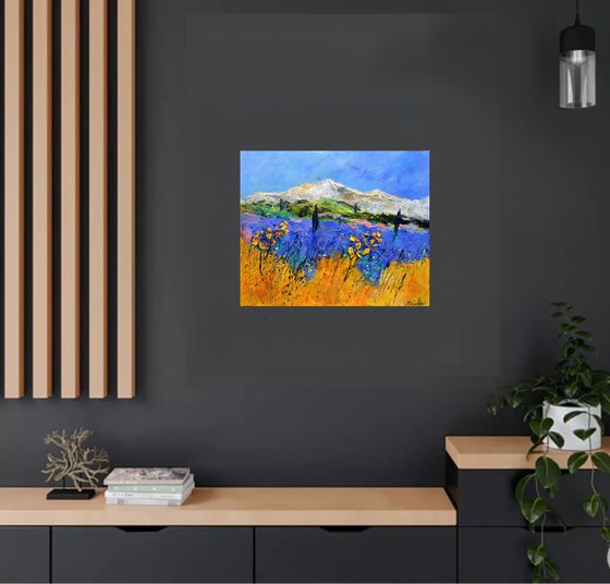 Provence lavender  5622