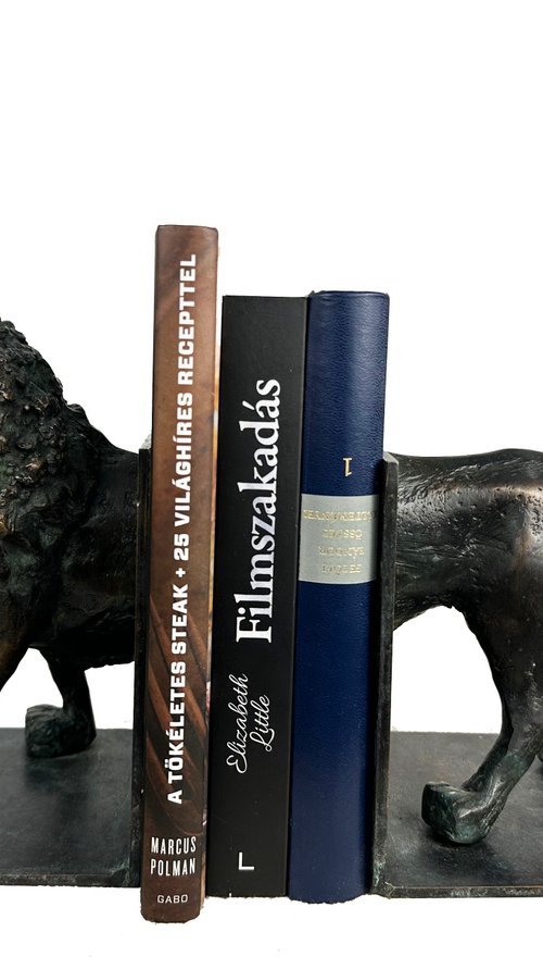 Lion - book holder by Toth Kristof