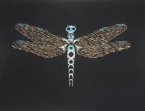dragonfly by Vivien Choumissa