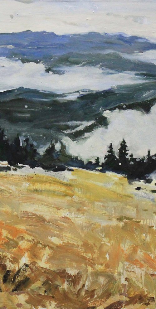 Where the Mountains Disappear by Alisa Onipchenko-Cherniakovska