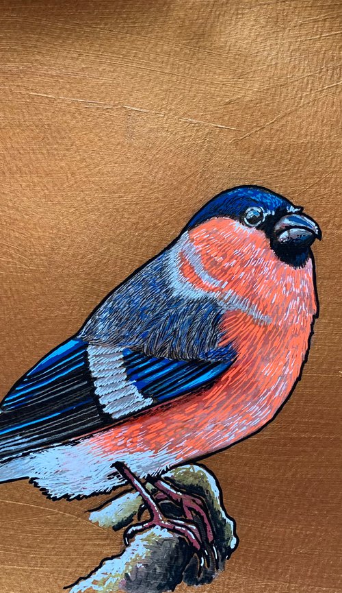 British Garden Birds series - Bullfinch by Karen Elaine  Evans