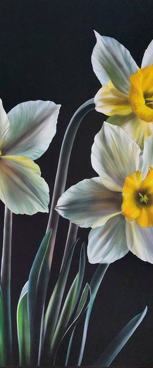 narcissus painting,  yellow flowers art by Svitlana Brazhnikova