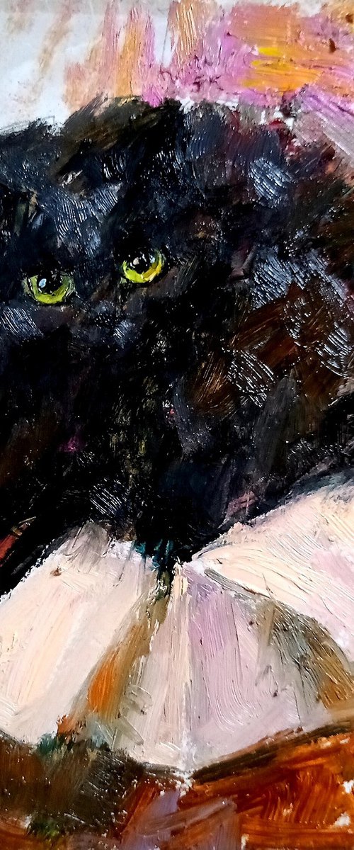 Black cat in a box by Valerie Lazareva