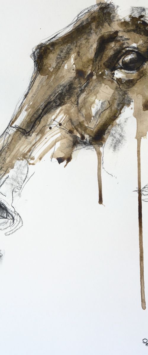 Equine Nude 80t by Benedicte Gele