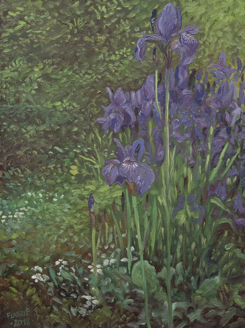 Irises by Wojciech Pater