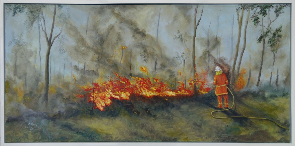 Bush Fire by John N Mason