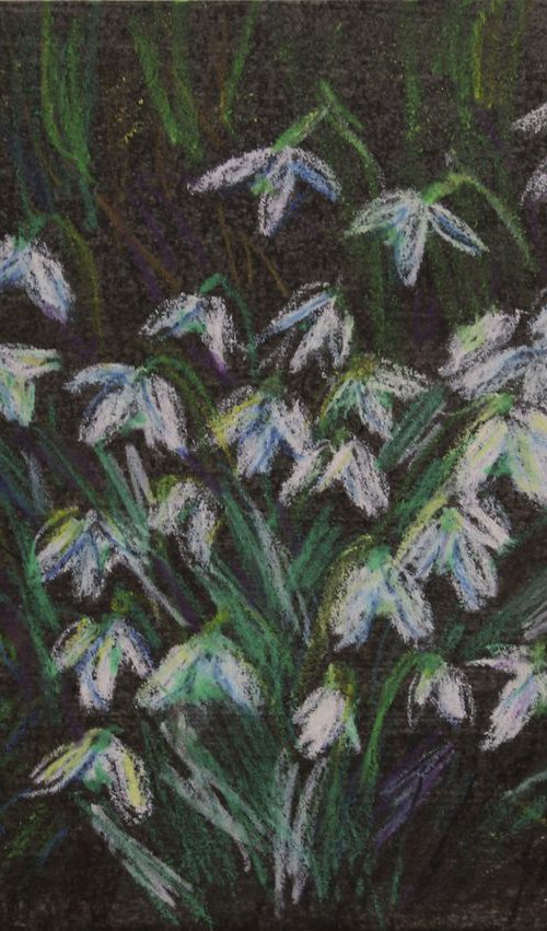 First Flowers II, 2018, oil pastel on paper by Alenka Koderman